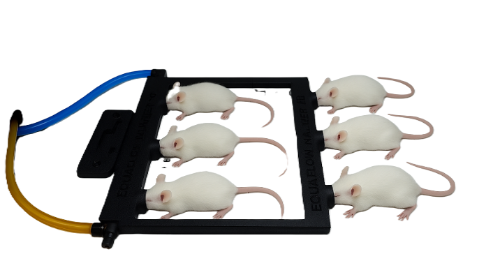 EM-16242 Six Mouse Manifold for InAlyzer 2M